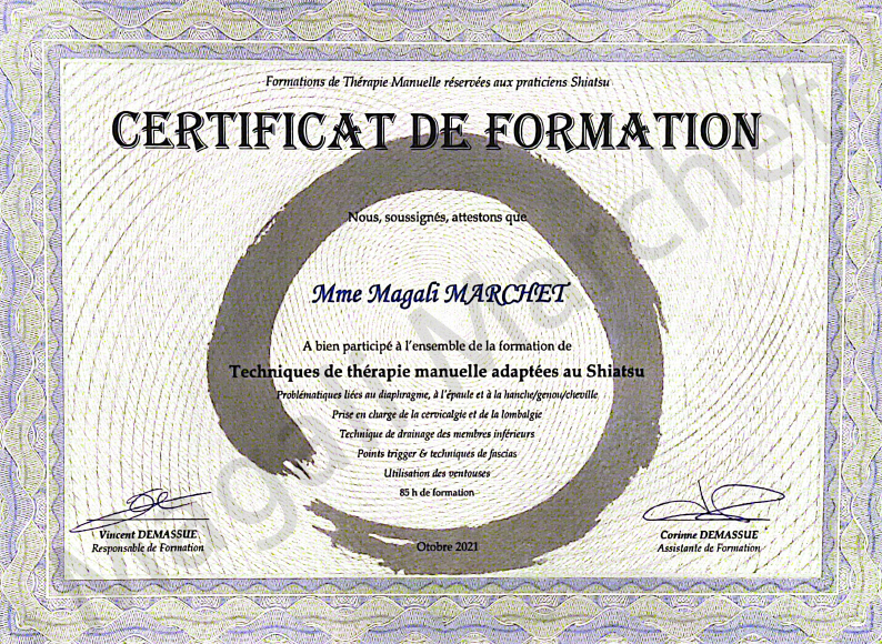 diplome-technique-de-therapie-manuelle diplome-technique-de-therapie-manuelle-shiatsu